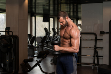 Muscular Man Exercising Biceps With Dumbbells