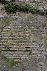 Old roman wall