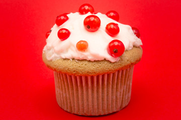 Isolated cupcake with currant