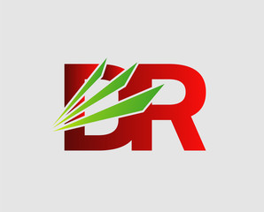 DR company linked letter logo
