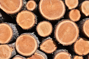 積み上げられた丸太