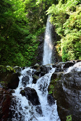 Obraz premium 朝日を浴びる養老の滝