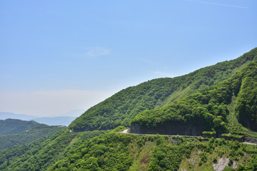 山頂方面から見た伊吹山ドライブウェイ(下り)