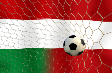 Soccer Euro 2016 ( Football ) Hungary and Austria 