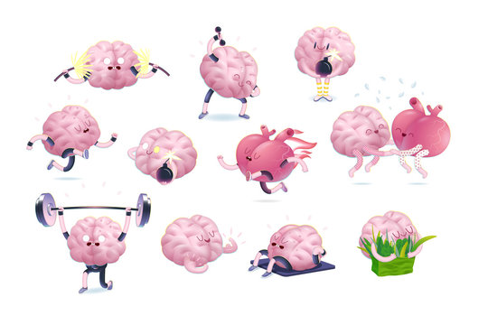 Brain and heart fitness set, cartoon vector isolated images, a part of Brain collection