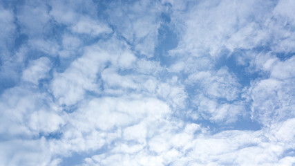 Bangkok's sky line. The blue of the sky with the white clouds.