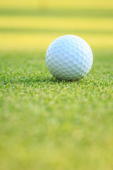 Golf ball on green grass in course