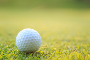 Golf ball on green grass in course