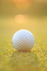 Golf ball on green grass in course