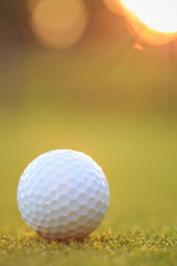 Golf ball on green grass in course