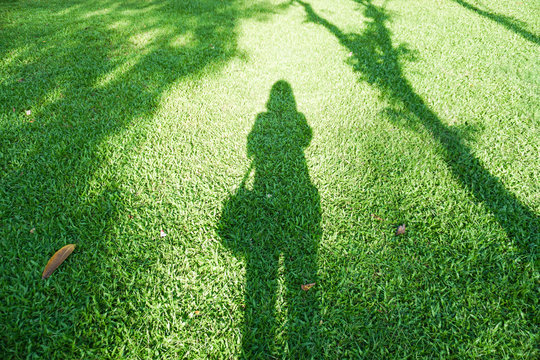 a shadow of lonely woman on the green yard in the park