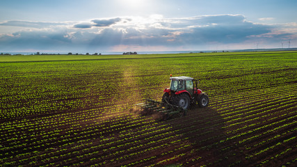 Tractor cultivating field at spring - obrazy, fototapety, plakaty
