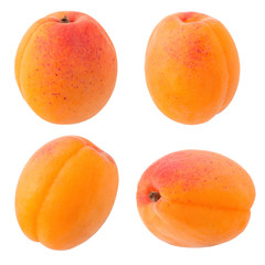 Fresh Yellow Apricot
