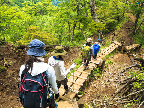 登山道