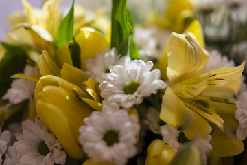 Obraz premium Daisy bouquet with white and yellow tulips and yellow lilies