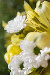 Daisy bouquet with white and yellow tulips and yellow lilies