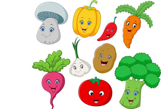 Fresh vegetables cartoon
