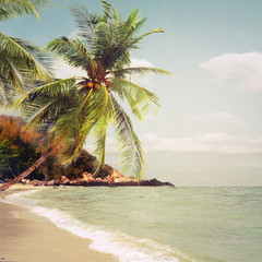 Fototapety  Tropikalna plaża latem - tło natura. Efekt filtra vintage i retro and