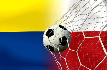 Soccer Euro 2016 ( Football )  Ukraine and Poland