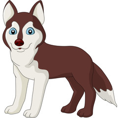 Cute dog isolated on white background 