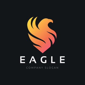 Eagle Logo, Phoenix logo vector logo template.