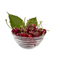 cherries isolated, leaf, colors, bowl