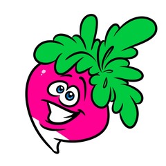 Cheerful radish cartoon illustration isolated image character
