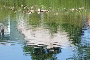 reflection of a house on the water surface