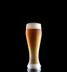 Fresh beer in a glass on a black background. The concept of food.