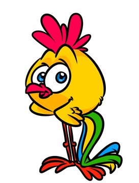 Yellow bird cock cartoon illustration isolated image animal character 

