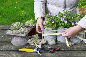 Woman arranging flowers in the garden.