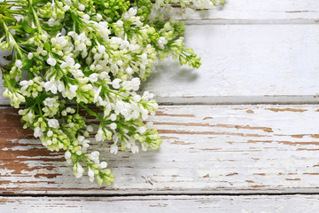 White lilac on wooden background