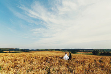 A wedding couple crosses the field under a deep blue sky