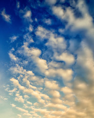 sky (157