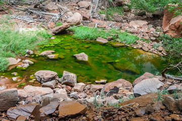 Emerald Pool in Zion National Park in  Utah