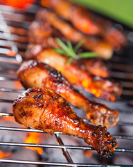 Roast chicken leg on grill © Lukas Gojda