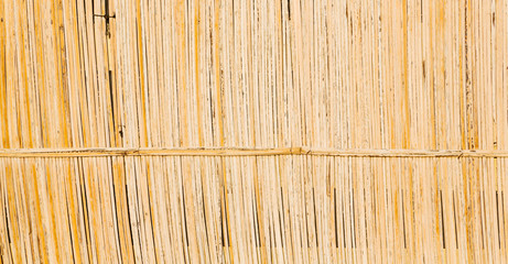 in oman abstract  texture of a bamboo wall background