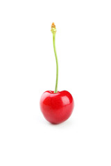 Ripe cherry isolated on white