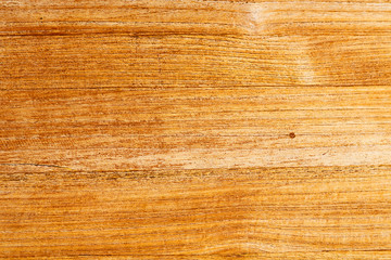 in oman antique door entrance and decorative   handle for backgr