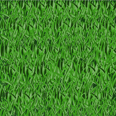Grass background image