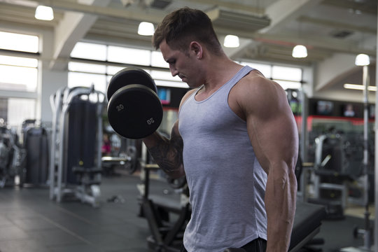 Young Man Lifting Weights In Gym