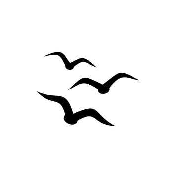 Seagull Silhouette