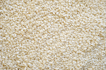 Sesame seeds background