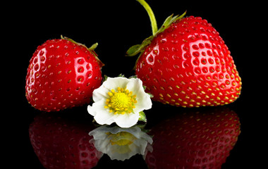 Macro whole strawberries and flower isolated on black