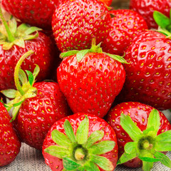 Group of ripe, organic strawberry background, selective focus.