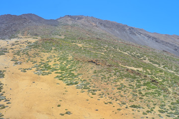 Volcanic landscape in the national park of Teide, Tenerife, Spai