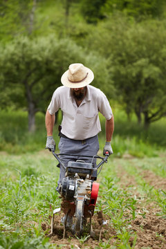 Young farmer weeding with a tiller