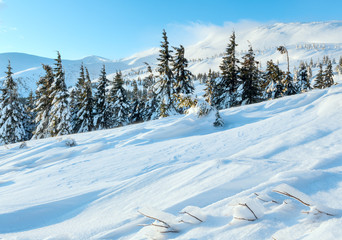 Fototapeta na wymiar Morning winter mountain landscape (Carpathian).