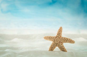 Fototapeta na wymiar Summer beach. Summer background with with sand and shells. Sea backgroundwith sandy beach