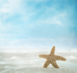 Fototapeta na wymiar Summer beach. Summer background with with sand and shells. Sea backgroundwith sandy beach